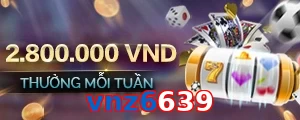vnz6639