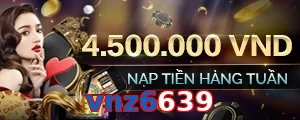 vnz6639