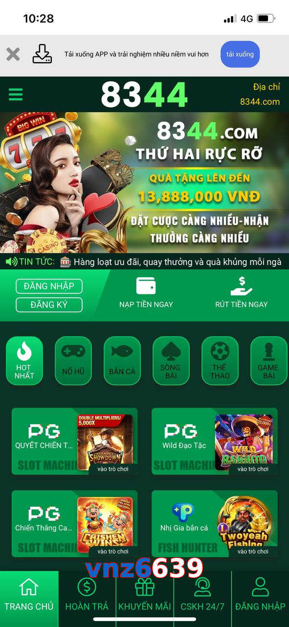 vnz6639