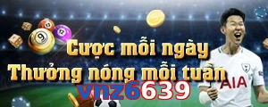 vnz6639