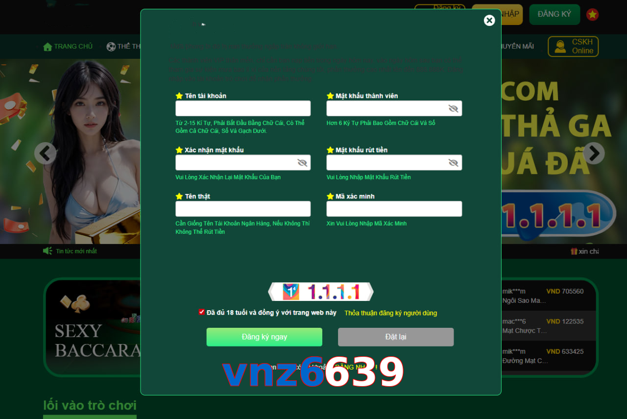 vnz6639